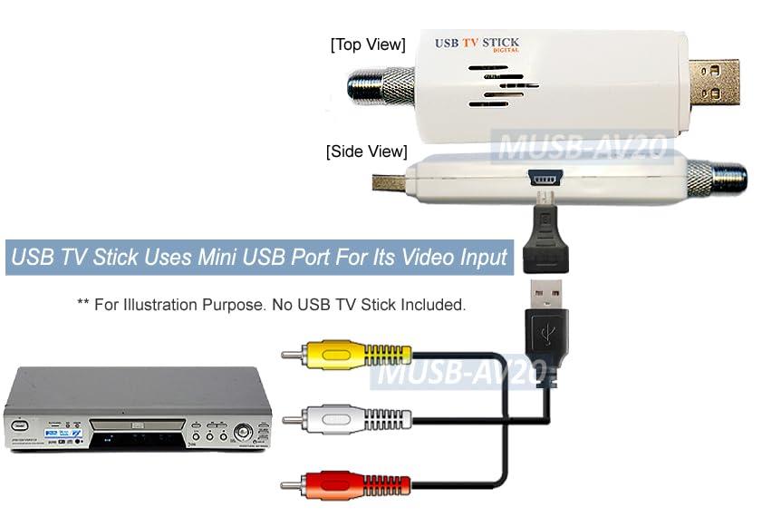 AllAboutAdapters USB and Mini USB to 3 RCA Composite Video Audio Input Output Adapter Cable for Camera USB TV Sticks
