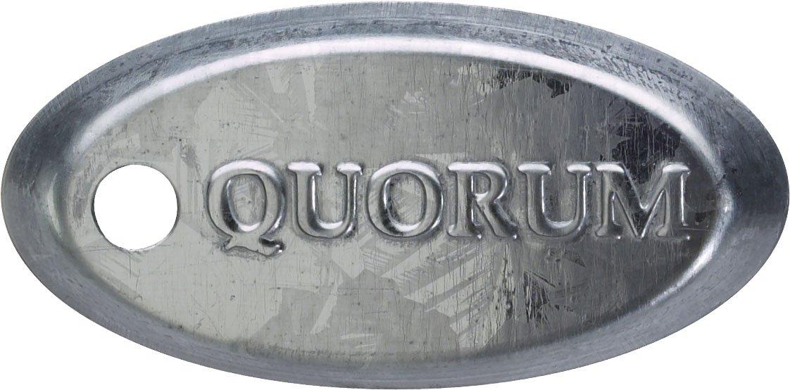 Quorum International Quorum 13525-9 Transitional 52``Patio Fan from Galveston Collection in Pewter, Nickel, Silver Finish,, 18.46x30.00x52.00