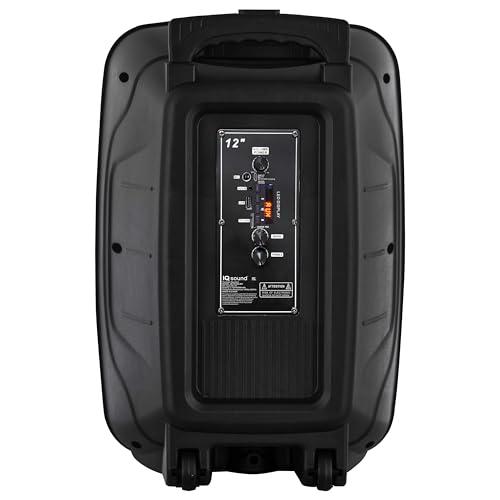 Supersonic IQ Sound IQ-7812DJBT 12-inch Portable Bluetooth Speaker with True Wireless Stereo, LED Light Show, Bluetooth 5.0, Built-in Port, Carry Handle, 40W Power - 12" Woofer, 1.5" Tweeter, 2Hrs Play Time