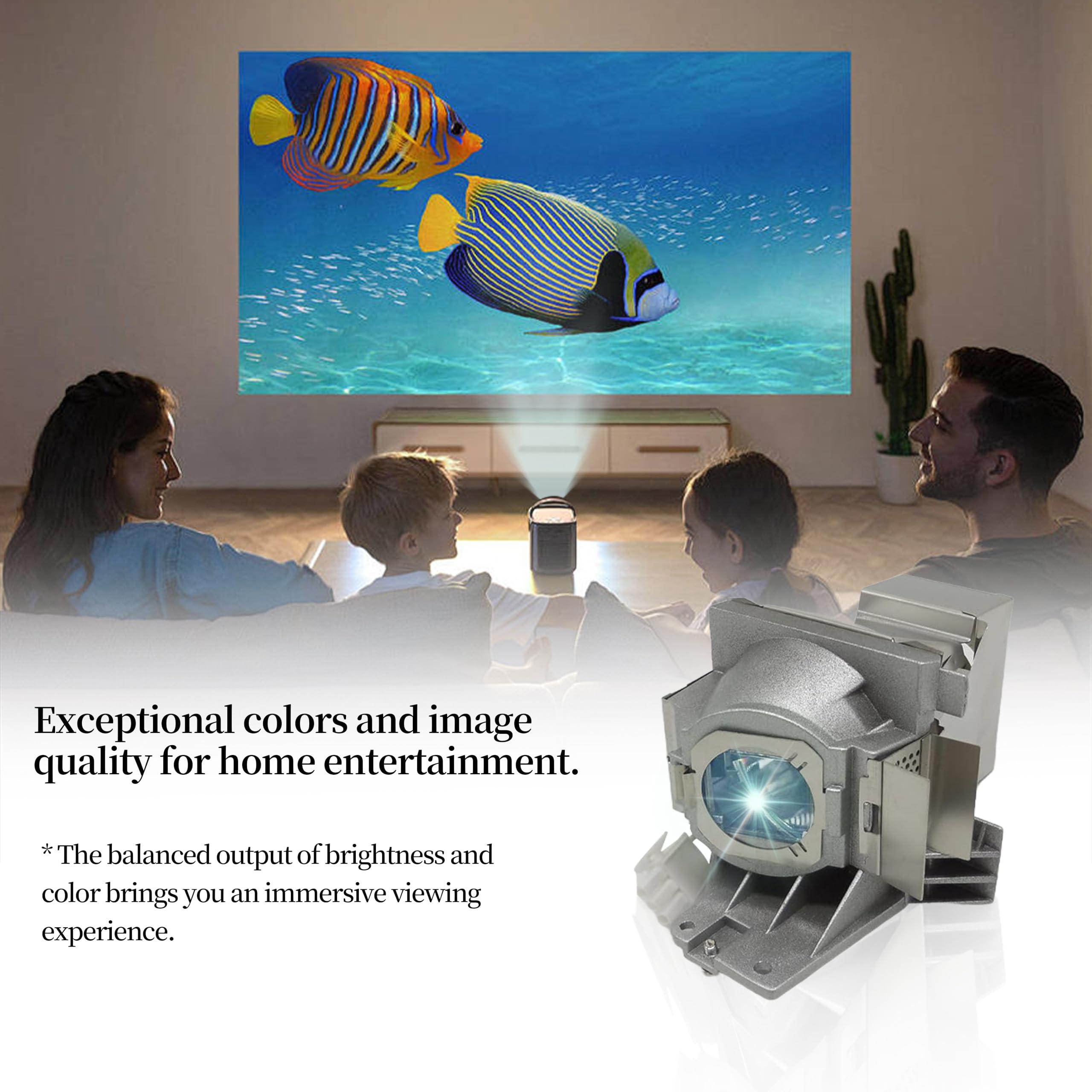 SORNEICDR SORNEICDR 5J.JEE05.001 Replacement Projector Lamp Bulb Compatible with Benq HT2050 HT2150ST HT2050A HT3050 W1110 W1210ST W2000 W2000+ New Generation A+ Lampwick Lamp Bulb Replacement with Housing