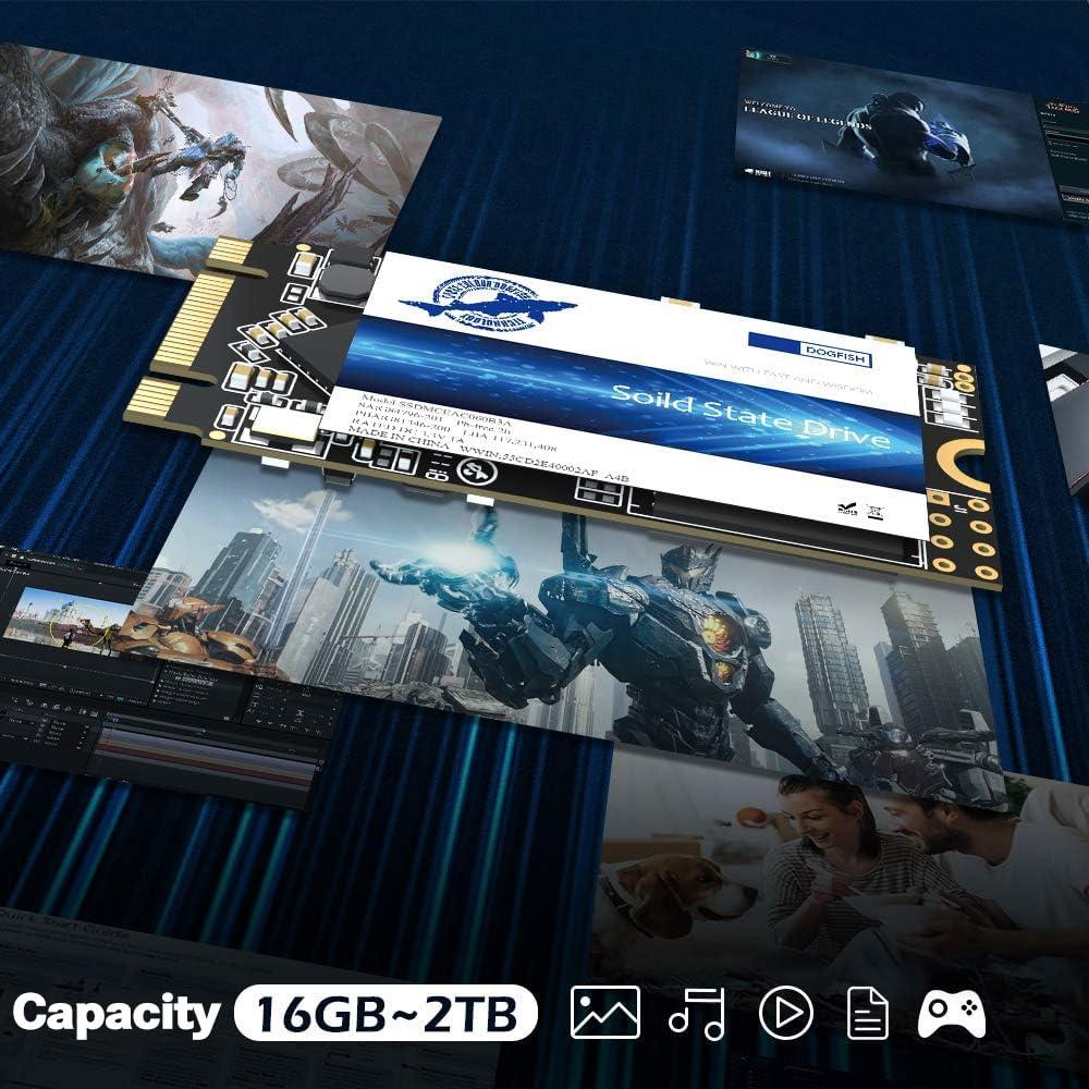 THREE COLOUR DOGFISH Dogfish SSD M.2 2242 250GB Unidad De Estado S?ido Incorporada Height PC Unit?a Stato Solido Integrata Interno MLC Desktop Laptop Hard Drive Disk m2(M.2 2242 250GB)