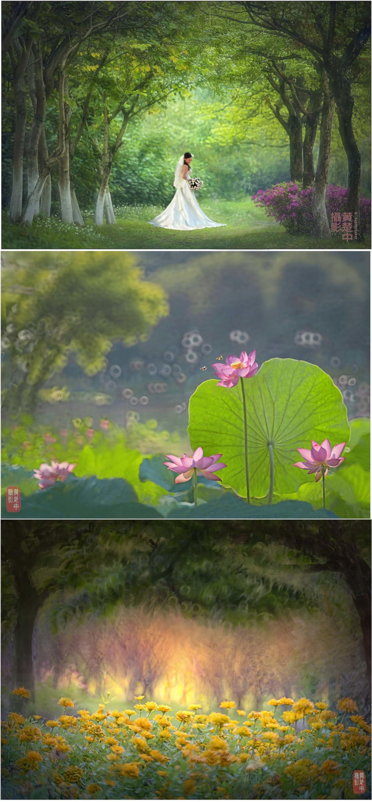 Kase Kase 200mm F5.6 MC Reflex Mirror Aluminum Portrait Lens Compatible with Canon EF Mount