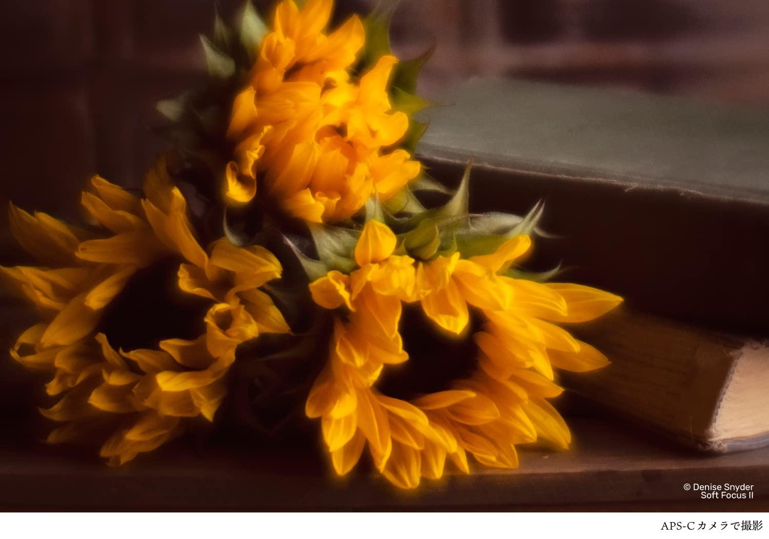 Lensbaby LensBaby - Fixed Body with Soft Focus II 50 Optics - for Sony E - Compatible with All Current and Older Lensbaby Optic Swap Lenses - Manually Adjustable Aperture