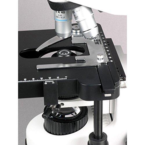 AmScope AmScope B660C Siedentopf Binocular Compound Microscope, 40X-2500X Magnification, WH10x and WH25x Super-Widefield Eyepieces, Semi-Plan Objectives, Brightfield, Kohler Condenser, Double-Layer Mechanical