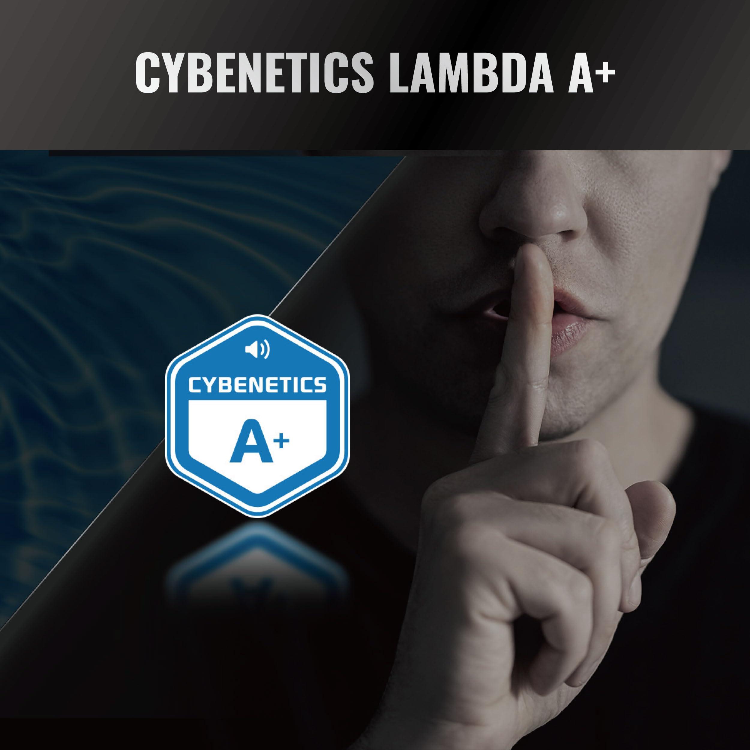 ASRock ASRock Steel Legend SL-850G 850W 80 Plus Gold & Cybenetics Platinum Full Modular Power Supply ATX3.1 PCIe5.1 Ready with Dual Color 12V-2x6 Cable 10 Years Warranty 135 mm FDB Fan Japanese Capacitor