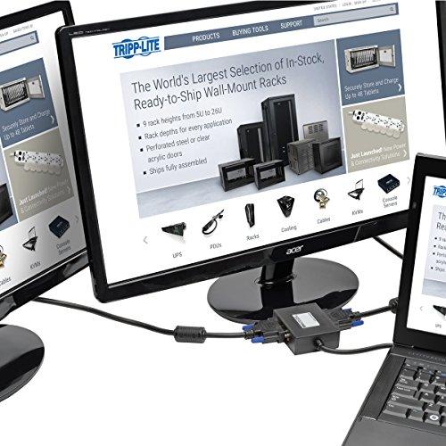 Tripp Lite TRIPP LITE B157-002-DVI 2-Port DisplayPort to DVI Splitter 1080p 1920x1080 60Hz,Black