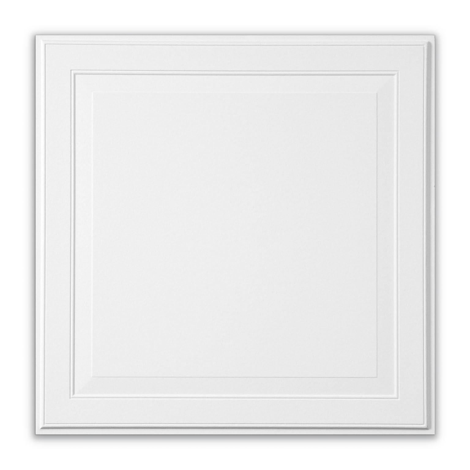 Armstrong Armstrong Ceiling Tiles; 2x2 Ceiling Tiles - 6 pc White; Acoustic Ceilings for Suspended Ceiling Grid; LEDGES 1205