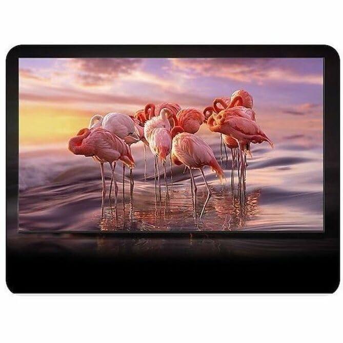 SAMSUNG SAMSUNG 43IN Hospitality QLED Display 2YR