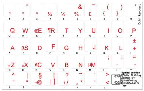 C2G C2g 6in Value Seriesandtrade; One 3.5mm Stereo Male To Two 3.5mm Stereo Female Y-cab