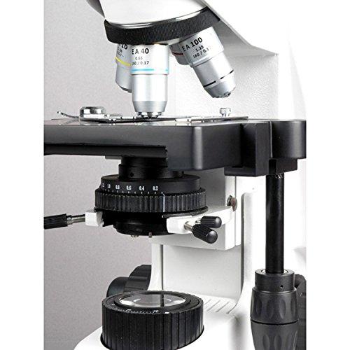 AmScope AmScope B660C Siedentopf Binocular Compound Microscope, 40X-2500X Magnification, WH10x and WH25x Super-Widefield Eyepieces, Semi-Plan Objectives, Brightfield, Kohler Condenser, Double-Layer Mechanical