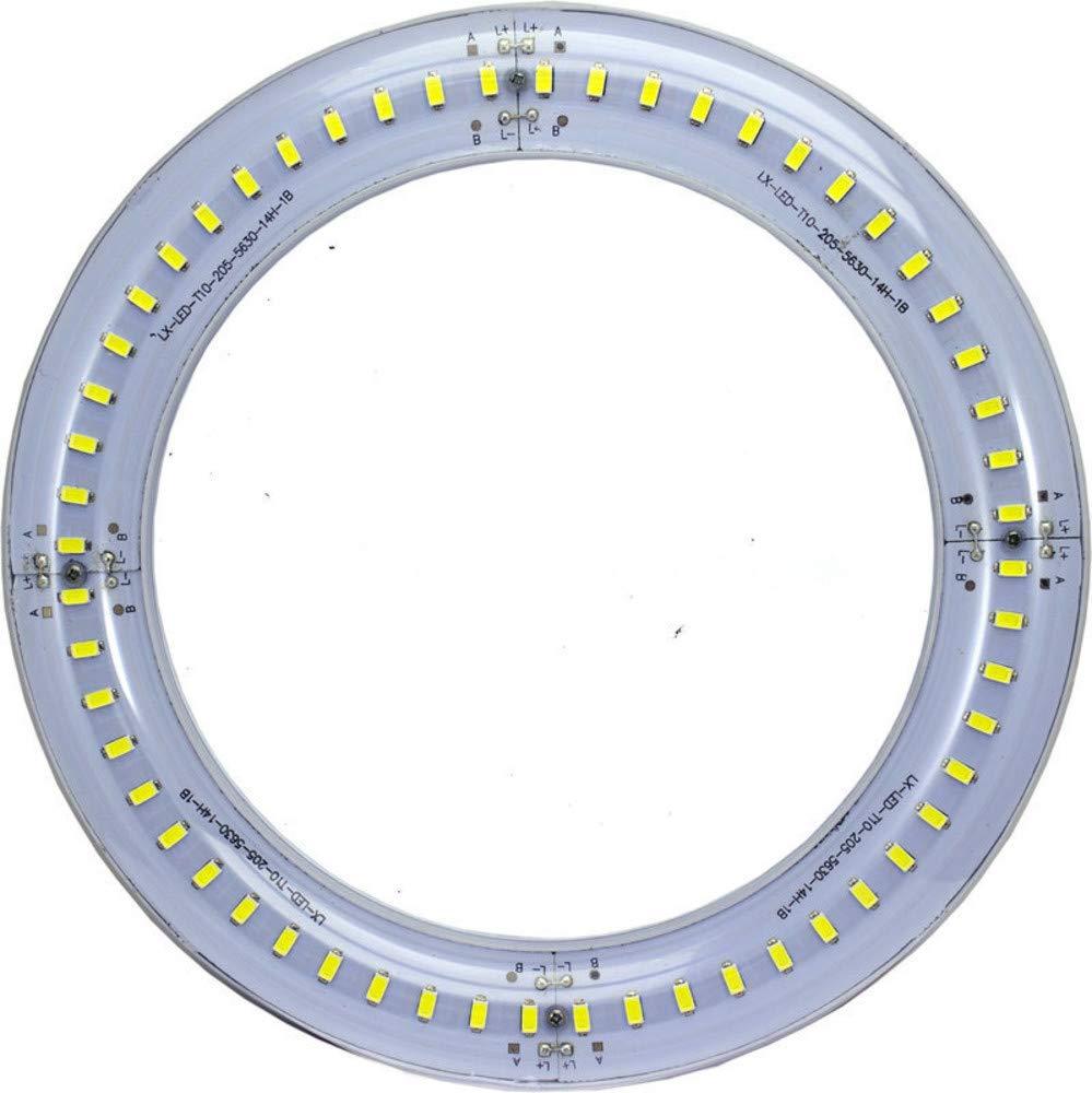 Duda LED HG001-WHITE LED Ring Light 10.1 Watt 950 Lumens 70w Equivalent 8.1" x 1.1" CE & ROHS Certified 100-240v AC 50/60 Hz 30000+ Hour 2 Year Warranty