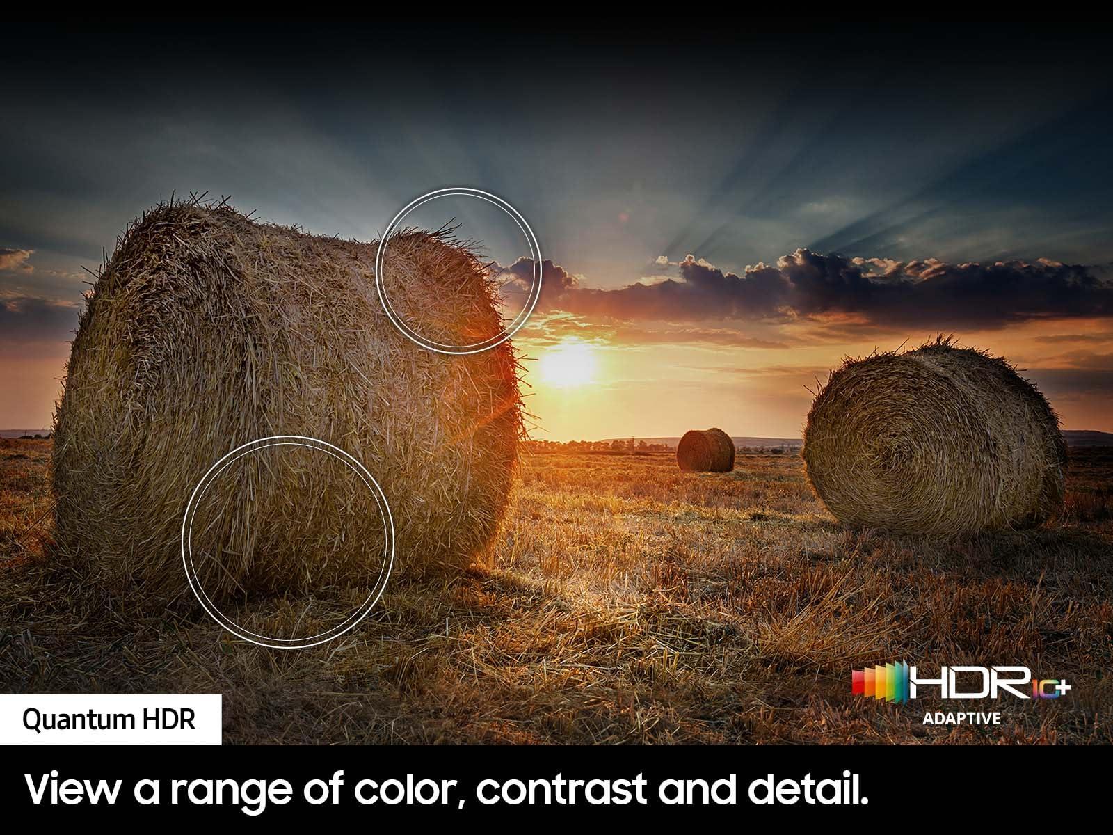 SAMSUNG SAMSUNG 32-Inch Class QLED 4K Q60D Series Quantum HDR Smart TV w/Object Tracking Sound Lite, Motion Xcelerator, Slim Design, Gaming Hub, Alexa Built-in (QN32Q60D, 2024 Model)