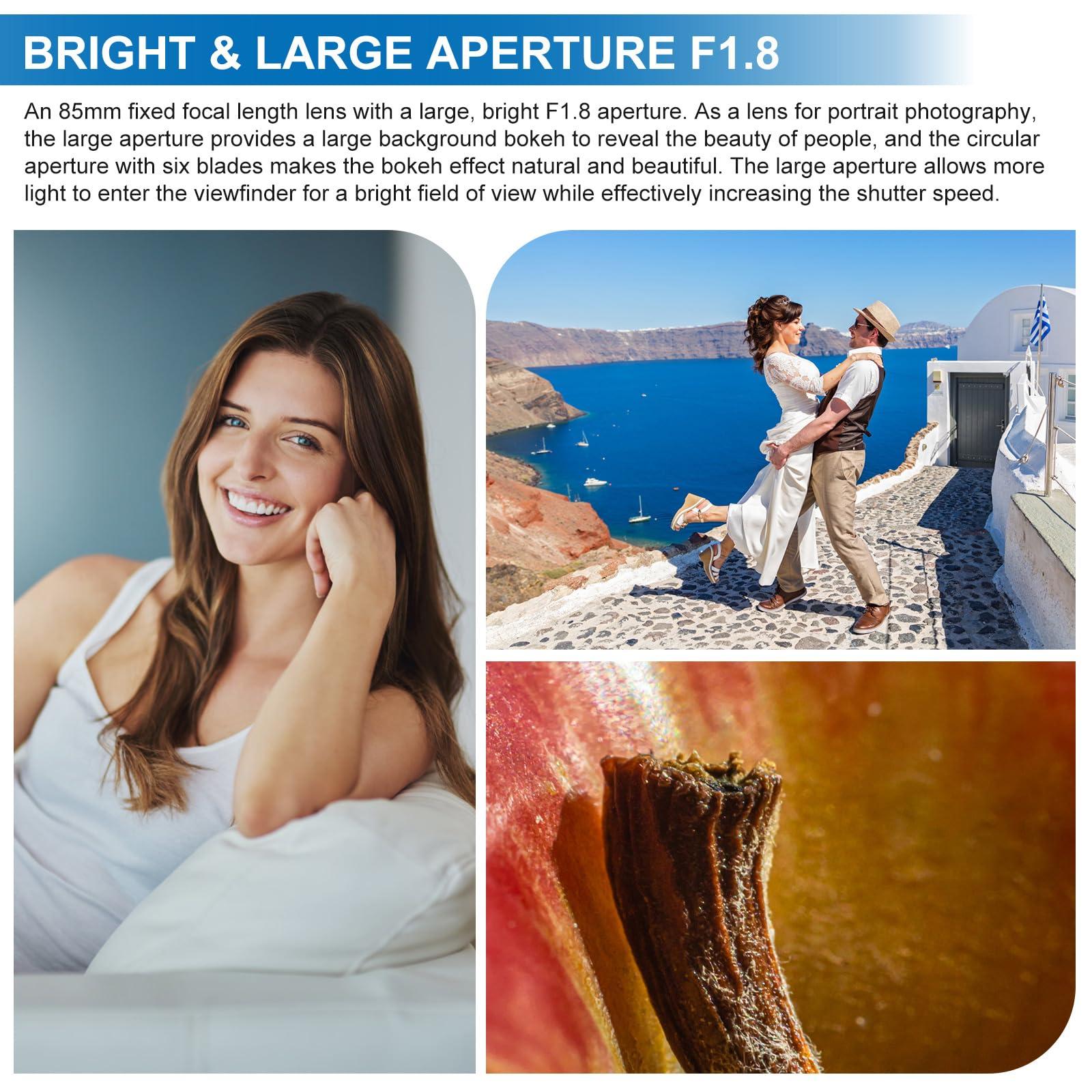 Lightdow 85mm F1.8 Portrait Lens - Medium Telephoto Manual Focus SLR Cameras Lens for Sony Alpha A9 A7R A7S A7 A6500 A6400 A6300 A6000 A5100 A5000 NEX-7 NEX-6 NEX-5T NEX-5R