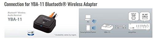 Yamaha Audio Yamaha A-S801SL Natural Sound Integrated Stereo Amplifier (Silver)