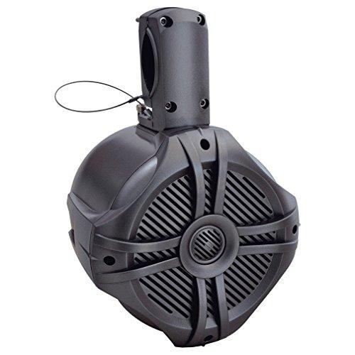 Power Acoustik Power Acoustik MWT65T Marine-Grade 6.5\" 500-Watt Wake Tower Enclosure & Speaker System (Titanium)