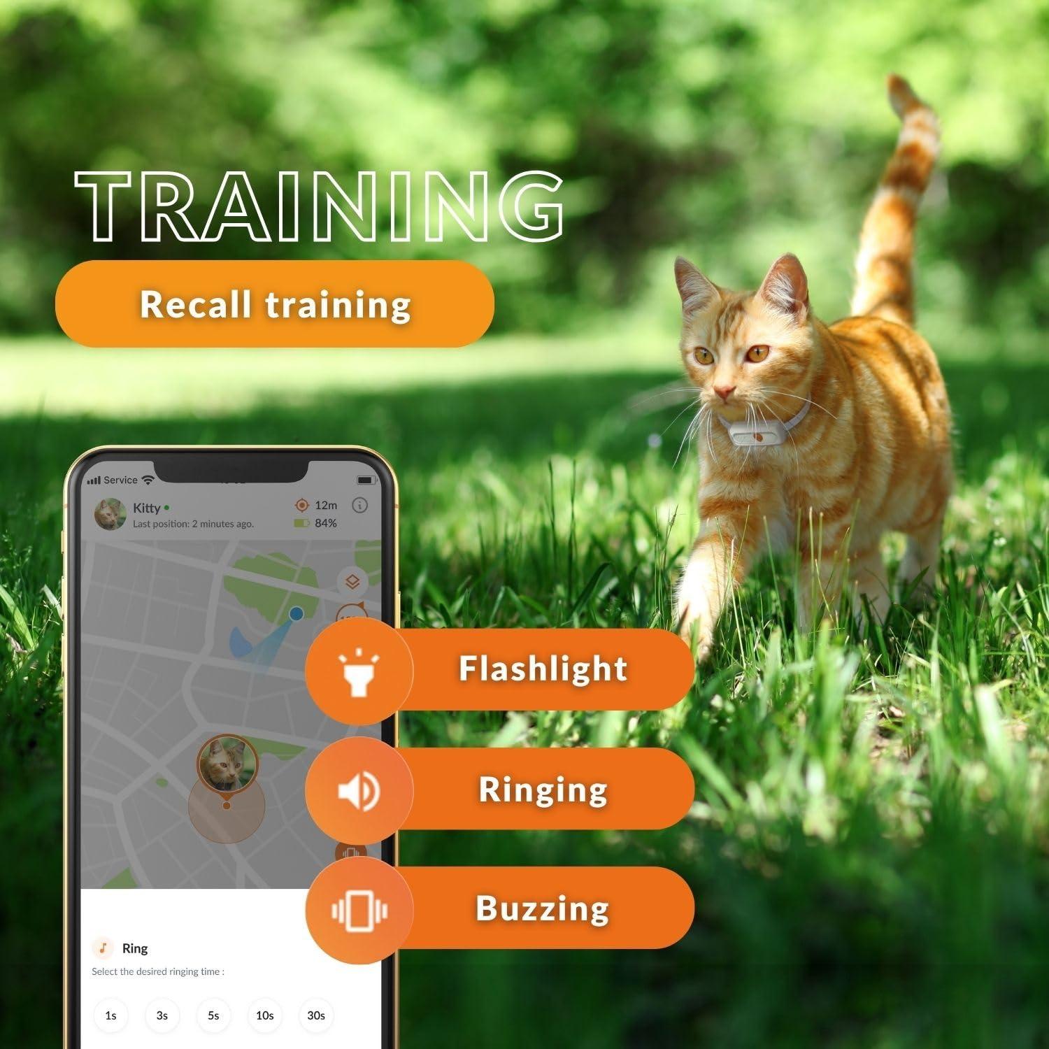 Weenect Weenect Cat XS - New GPS Tracker for Cats | Real-time Mini GPS Tracker for Cats | Smallest Model on The Market | Collar Included | Including Free 3 Months Subscription