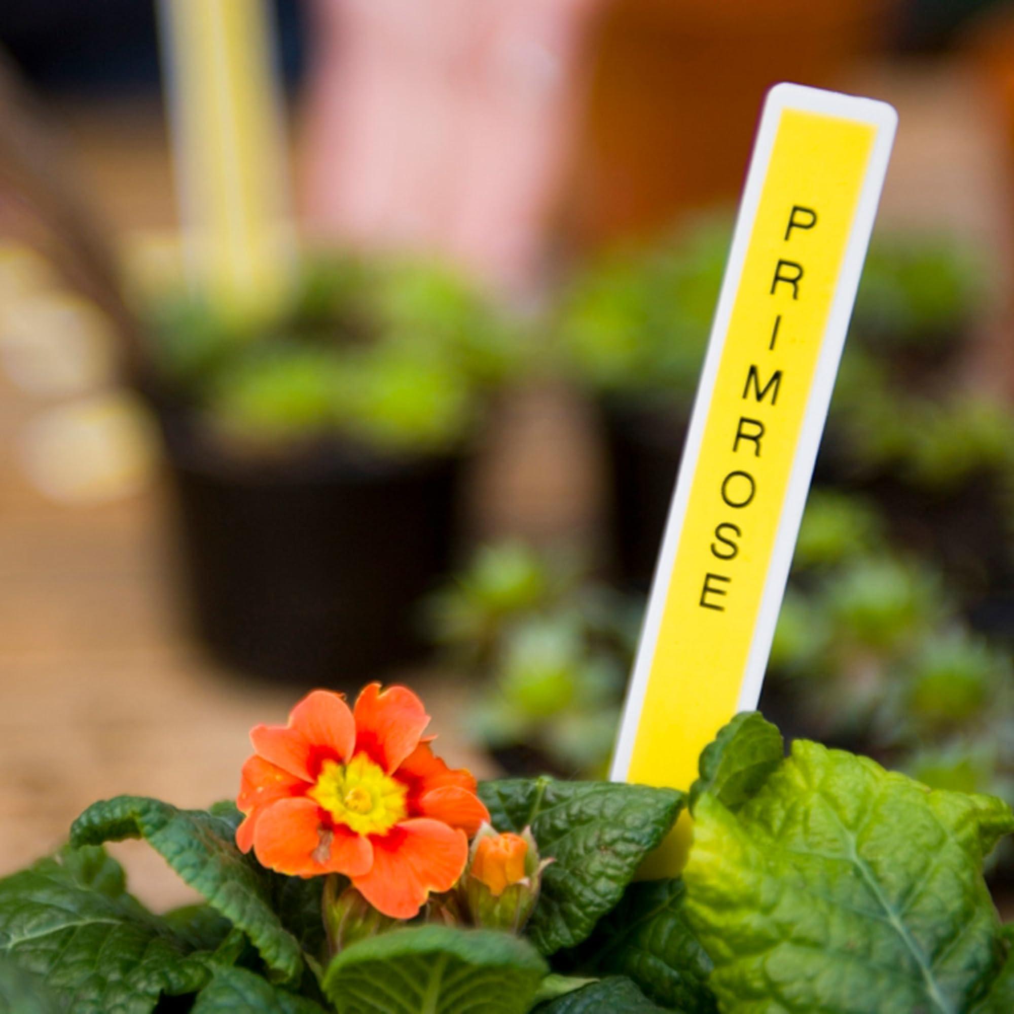 Brother Brother Genuine P-touch, TZe-621CS, 0.35 x 26.2, Black on Yellow Laminated Label Tape