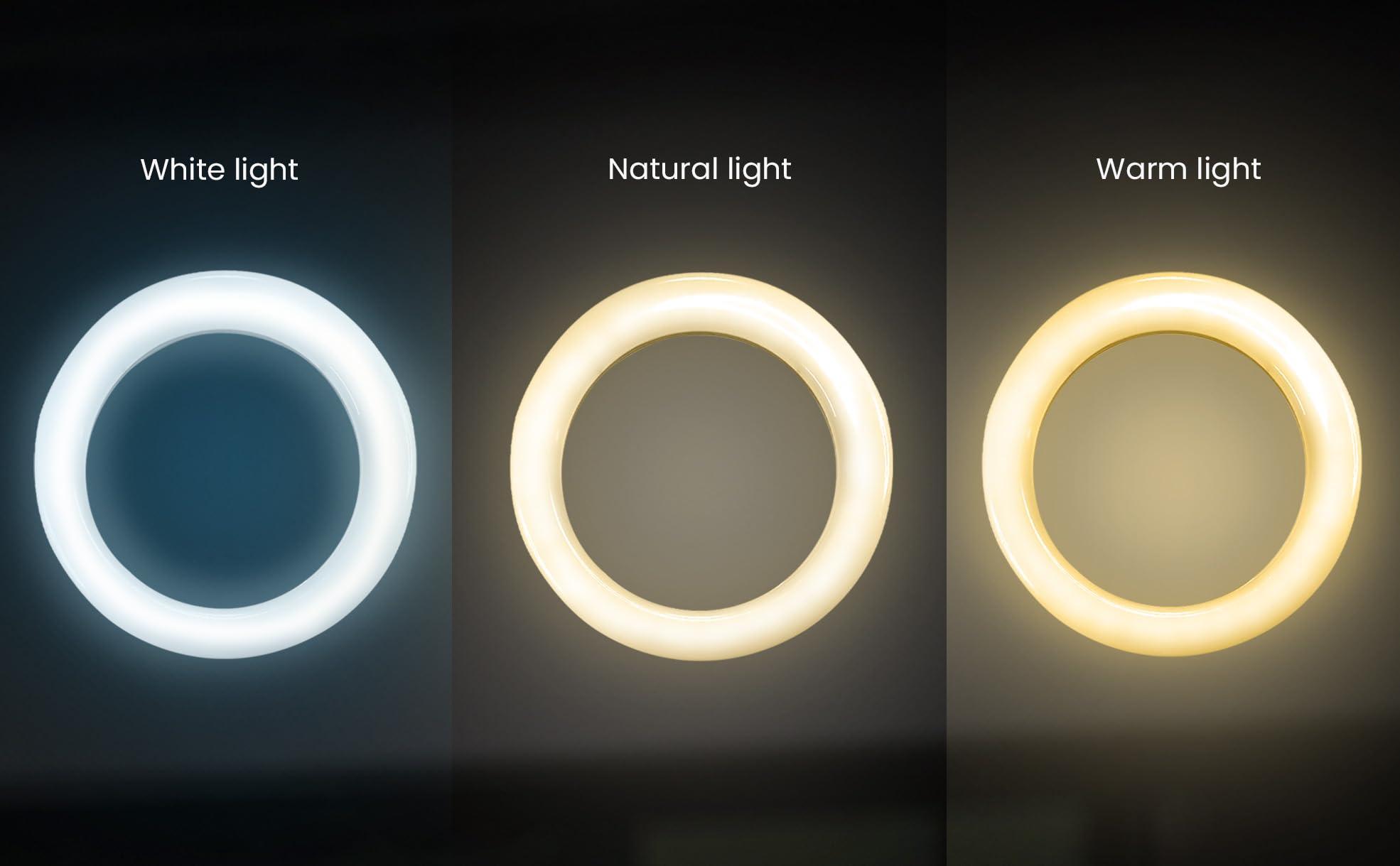 IDANCE iDance LED Ring Light with Stand, 3.5", Portable Desk Ring Light with Cell Phone Mount, Microphone Holder and Tripod for Laptop, Selfie, USB Powered & Remote with Foldable & Adjustable Stand