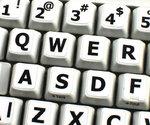 Absolute Absolute KIT-8 8 Gauge Amplifier Kit for System up to 1000 Watts