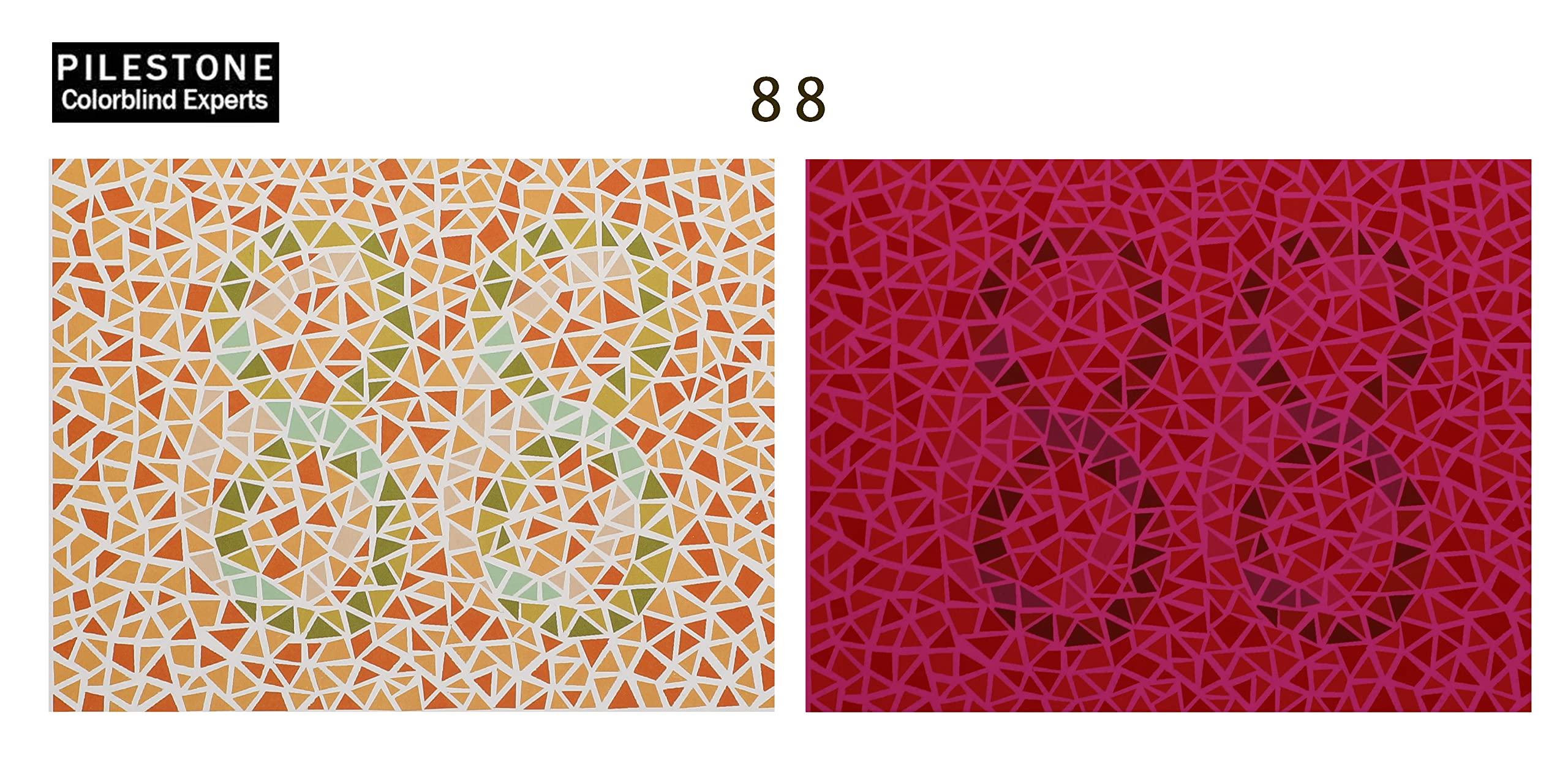 Pilestone Pilestone TP-035 Lens B Color Blind Glasses Aviator Style for Strong/Severe Red-Green Blindness Indoor/Outdoor Use