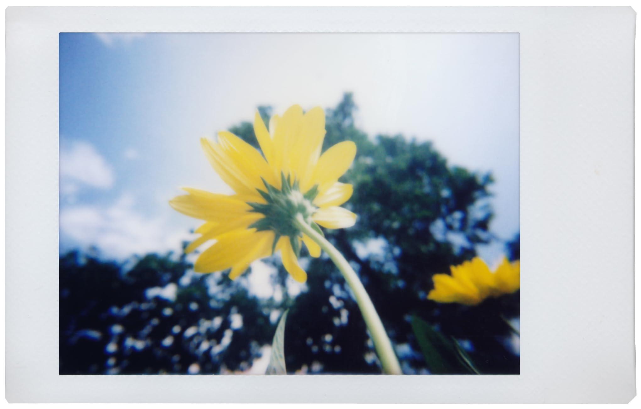 Lomography Lomo'Instant Boston Edition Camera