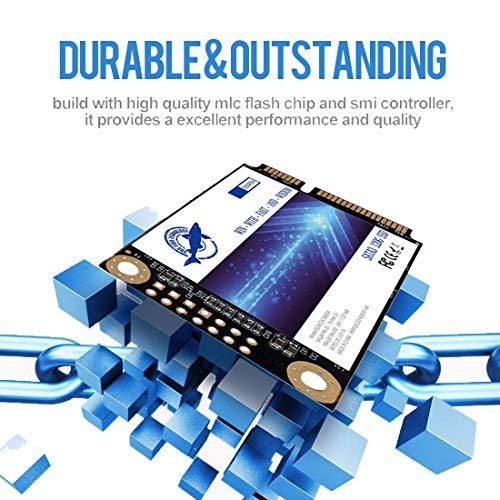 THREE COLOUR DOGFISH Dogfish SSD Msata 2TB Internal Solid State Drive Mini Sata Disk Drive High Performance Hard Drive for Desktop Laptop Notebook M sata (MSATA, 2TB)