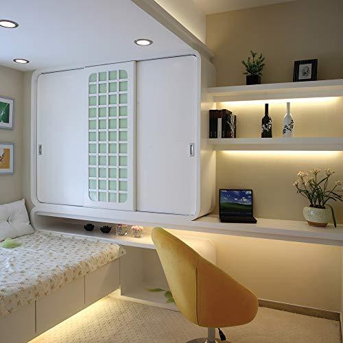 Armacost Lighting Armacost Lighting 151250 RibbonFlex Pro Series 30 LED Lights, 32.8 ft