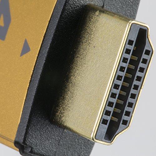 NTW NTW PURE PRO 4K HDMI Cable 12FT High Speed 18Gbps HDMI 2.0 Cable, 4K HDR, Ultra HD Cable 3D, 2160P, 1080P, Ethernet, Audio Return(ARC), Compatible PS5, PS4/3, UHD TV, Blu-ray, PC, Xbox, gold/black