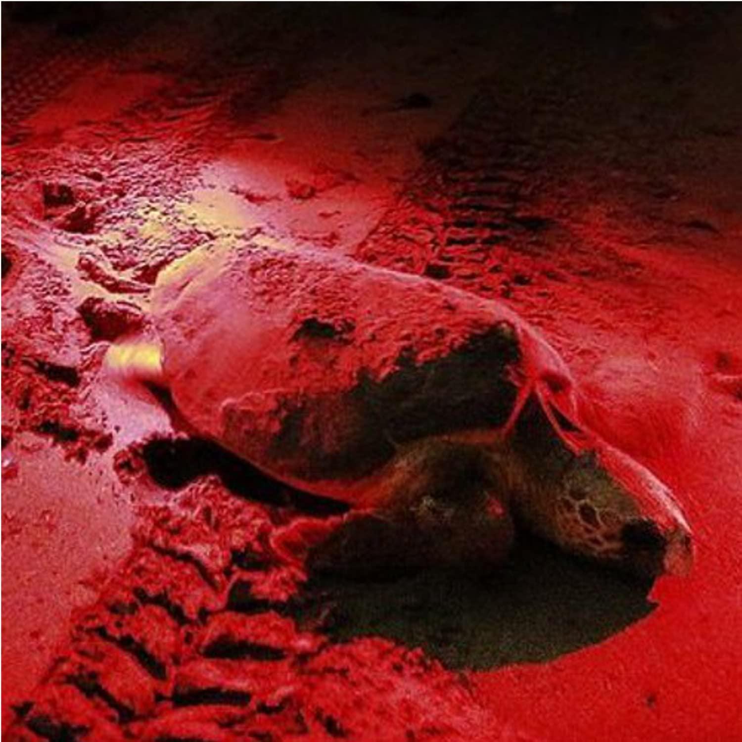 HQRP HQRP Portable Professional 51 LED Deep Red Flashlight with a Large Coverage Area for Observation, Ornithological Night Watching and Spotlighting of The Nocturnal Animals