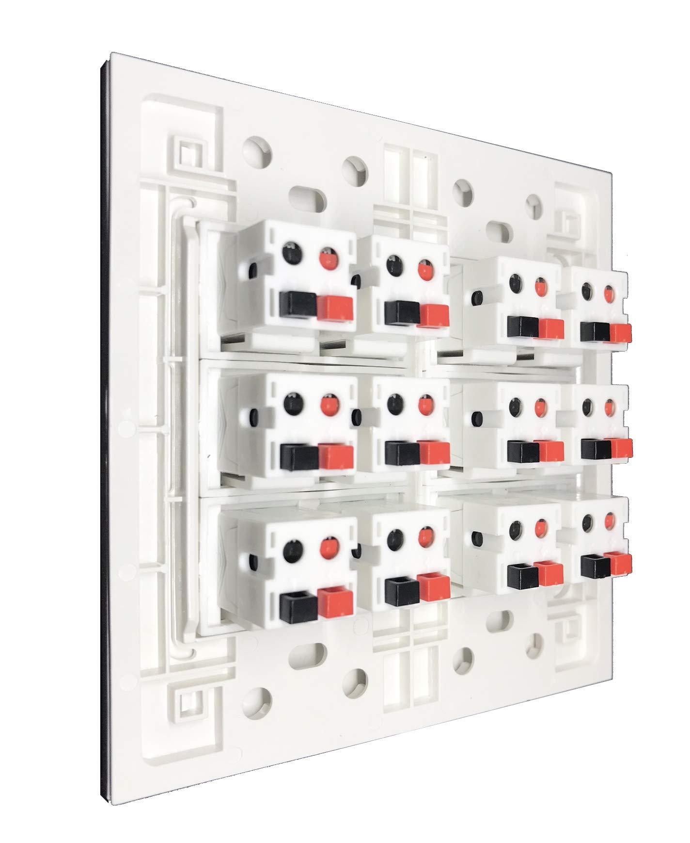 DIYTECH DIYTECH Premium 12 Speaker Wall Plate, Supports 12 Configurations, Screwless 2 Gang Plate with Speaker Port