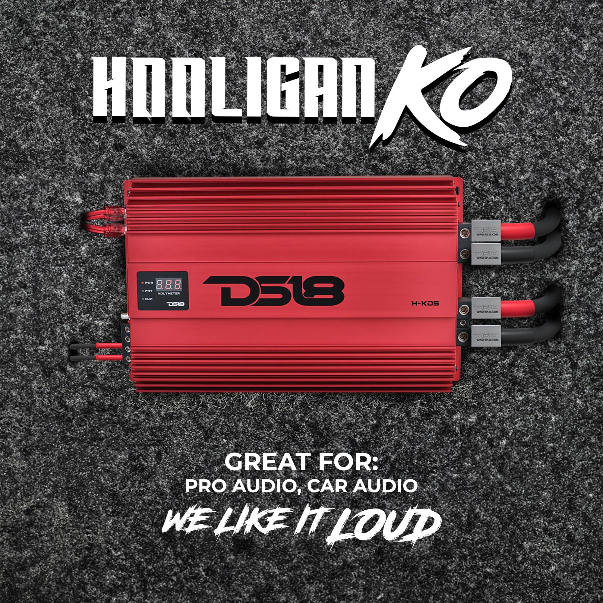DS18 DS18 H-KO5/RD Korean Half Bridge 1-Channel Monoblock Amplifier with Voltmeter and Clip Indicator, 5000 Watts Rms - Remote BASS Knob Included
