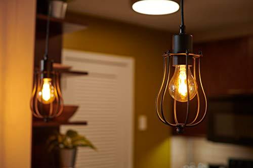 LEDVANCE SYLVANIA LED Vintage Amber Glow A15 Light Bulb, 40W Equivalent Efficient 4.5W, Dimmable, Medium Base - 1 Pack (75343)