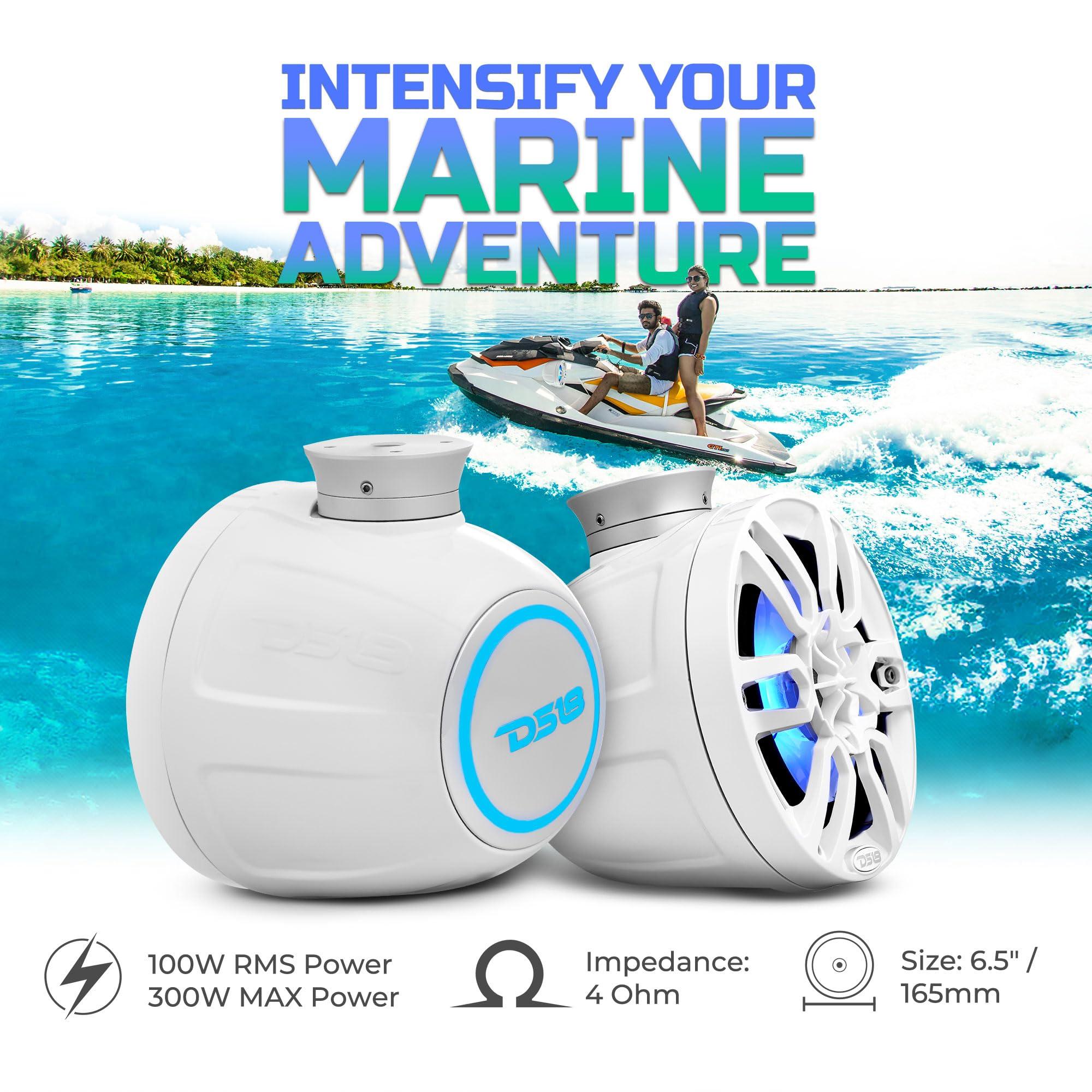 DS18 DS18 NXL-PS6BK 2-Way Wakeboard Tower Speakers with Integrated RGB Lights - 300 W MAX Perfect for Jet Skies, Ideal for ATV, UTV, Jeep, Side by Side, Marine, RZR