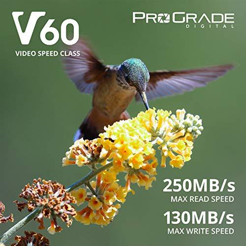 ProGrade Digital SD UHS-II 256GB Card V60 Up to 130MB/s Write Speed and 250 MB/s Read Speed | for Professional Vloggers, Filmmakers, Photographers & Content Curators by Prograde Digital