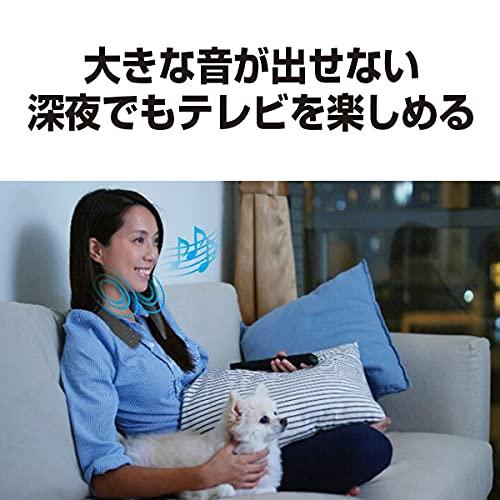 Panasonic Panasonic SC-WN10-K [Wireless Neck Speaker] Shipped from Japan (Black)