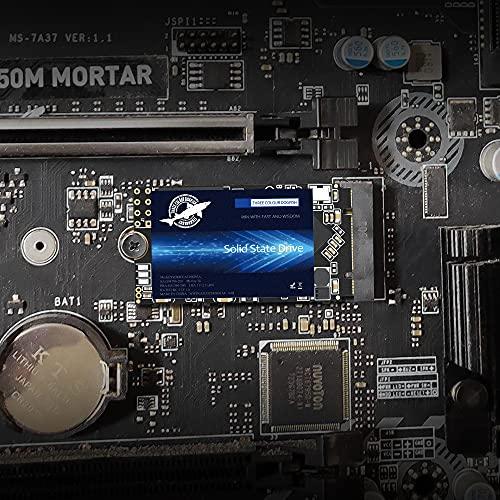 THREE COLOUR DOGFISH Dogfish M.2 2242 SSD 250GB 3D NAND TLC SATA III 6 Gb/s, Internal Solid State Drive - Compatible with Desktop PC Laptop (M.2 2242 250GB)
