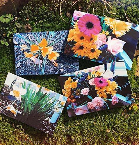 Zink Polaroid 2x3? Premium Zink Photo Paper (30 Pack) Compatible with Polaroid Mint Camera, Snap/Snap Touch Instant Print Cameras & Polaroid Mint and Zip Photo Printers.