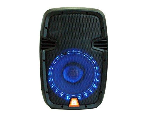 Mr. Dj Mr. Dj PBX1859S 10" 2-Way Portable Passive Speaker with LED Accent Lighting