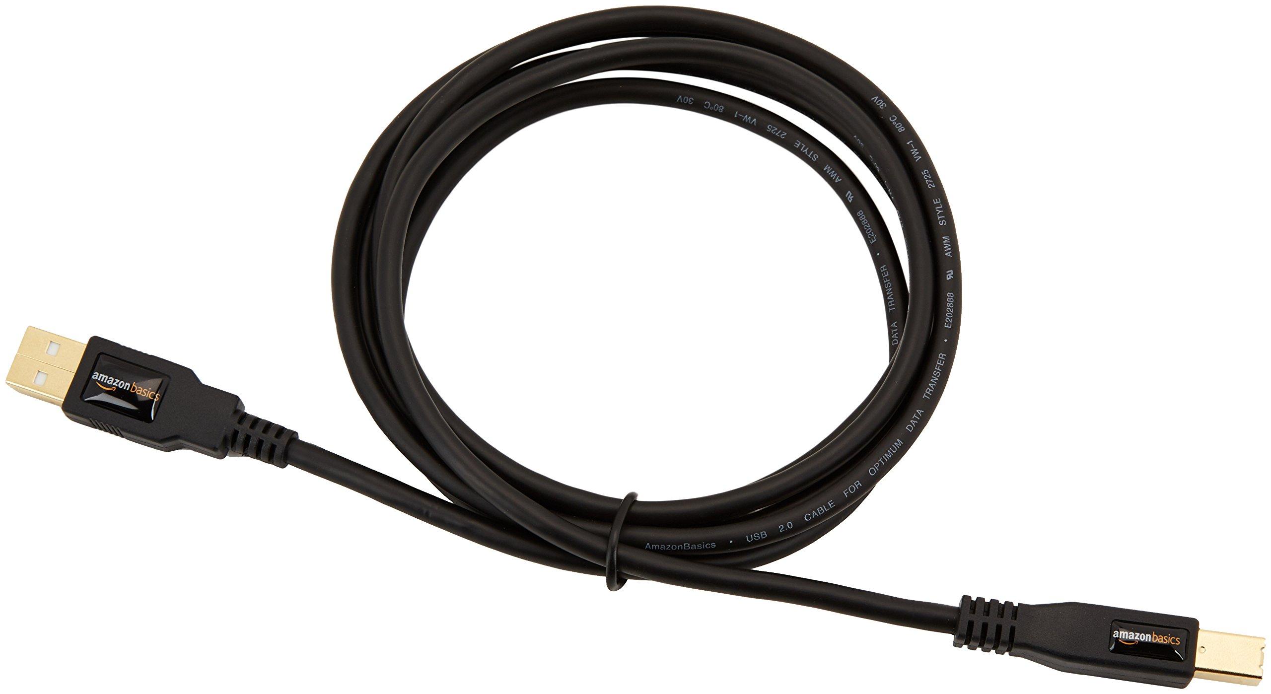 Amazon Basics Amazon Basics USB-A to USB-B 2.0 Cable with 480 Mbps Transfer Speed for Printer or External Hard Drive, Gold-Plated Connectors, 6 Foot, Black