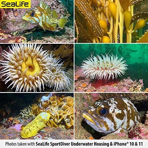SeaLife SeaLife Underwater Smartphone Scuba Case Dive to 130, Waterproof Photography, Access Camera Controls, Leak Alarms, Fits Most Phones (Without Light)