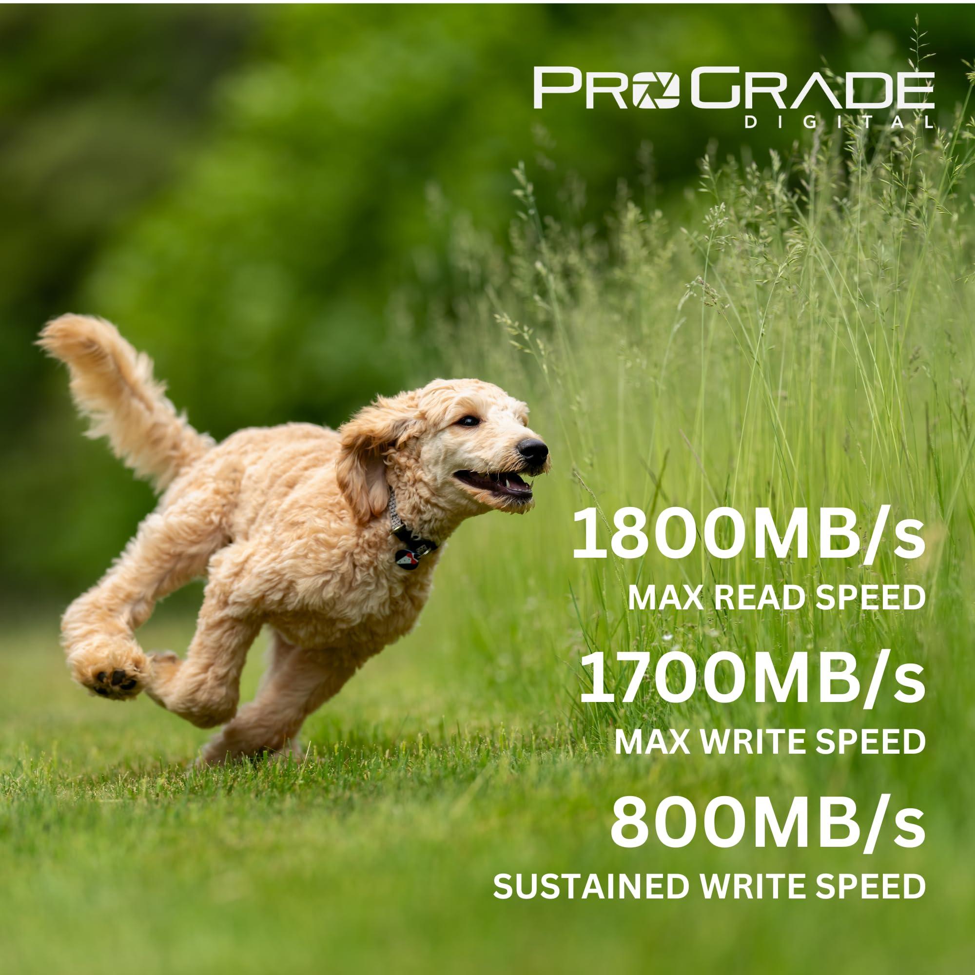 ProGrade Digital ProGrade Digital CFexpress 4.0 Type A Memory Card (480GB) Iridium