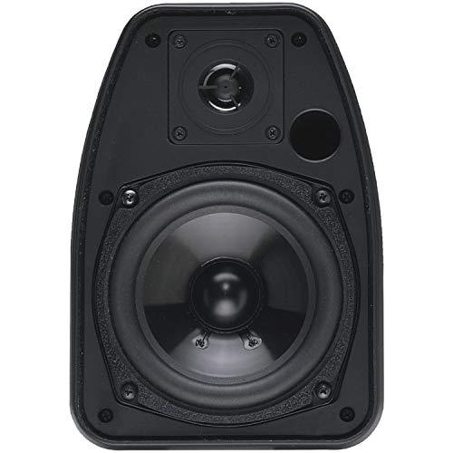 BIC Bic America Adatto Dv52Si Adatto Indoor/Outdoor Speakers (Black)