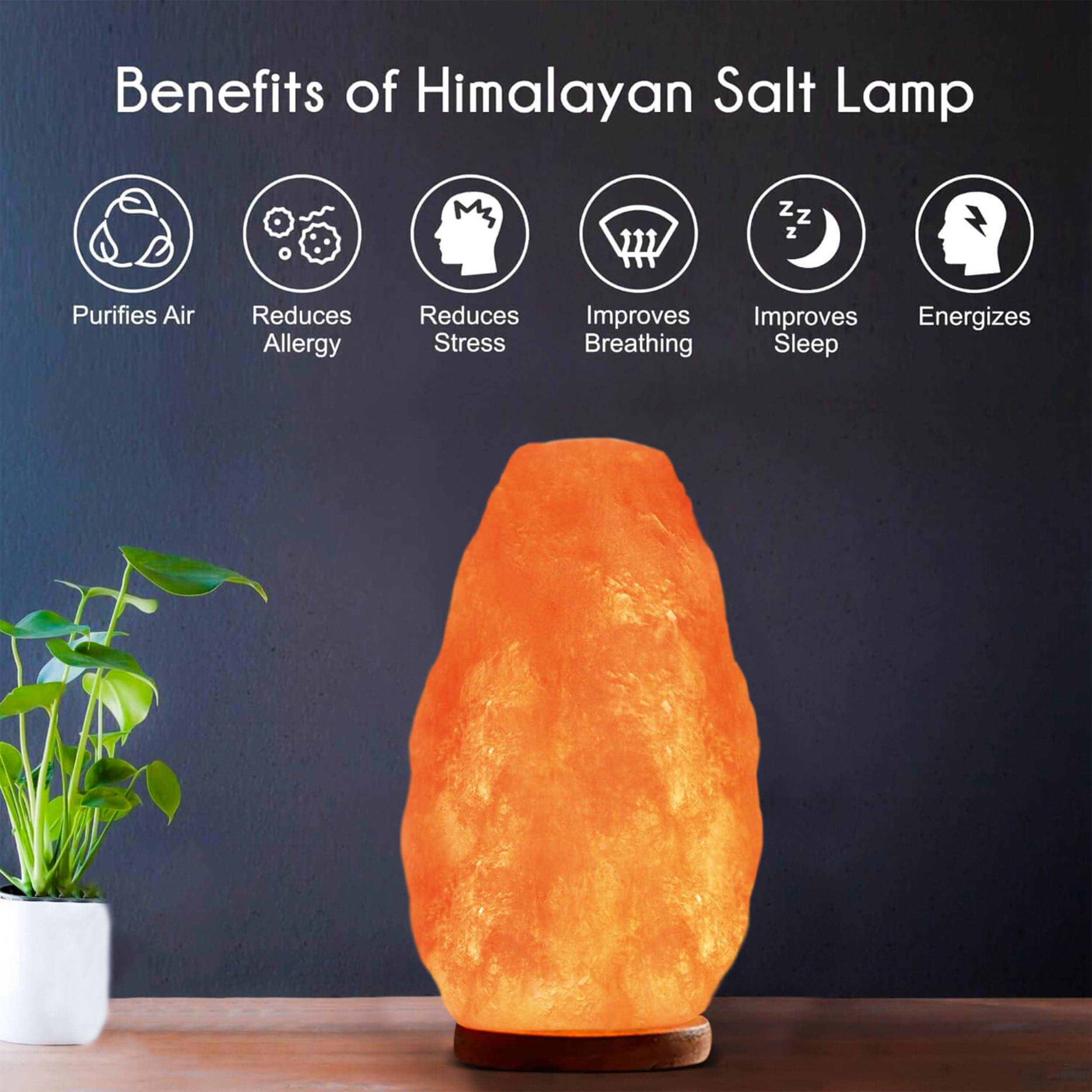 Himalayan Glow Himalayan Glow Salt Lamp with Dimmer Switch 5-7 lbs