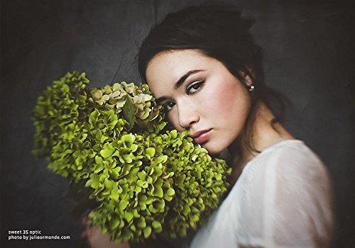 Lensbaby Lensbaby Composer Pro II with Sweet 35 Optic for Micro 4/3