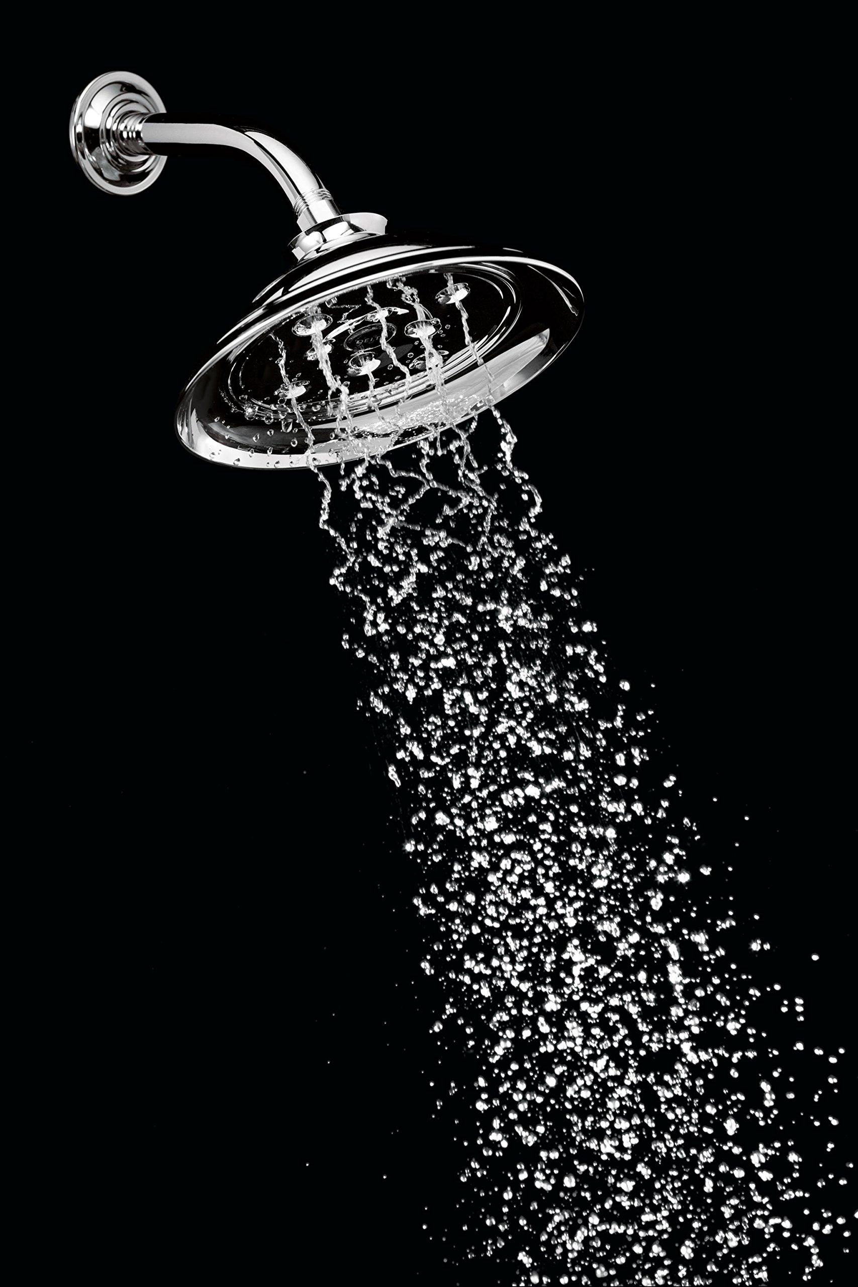DELTA FAUCET DELTA FAUCET RP70172 Water Efficient Showerhead, Chrome, 0.5