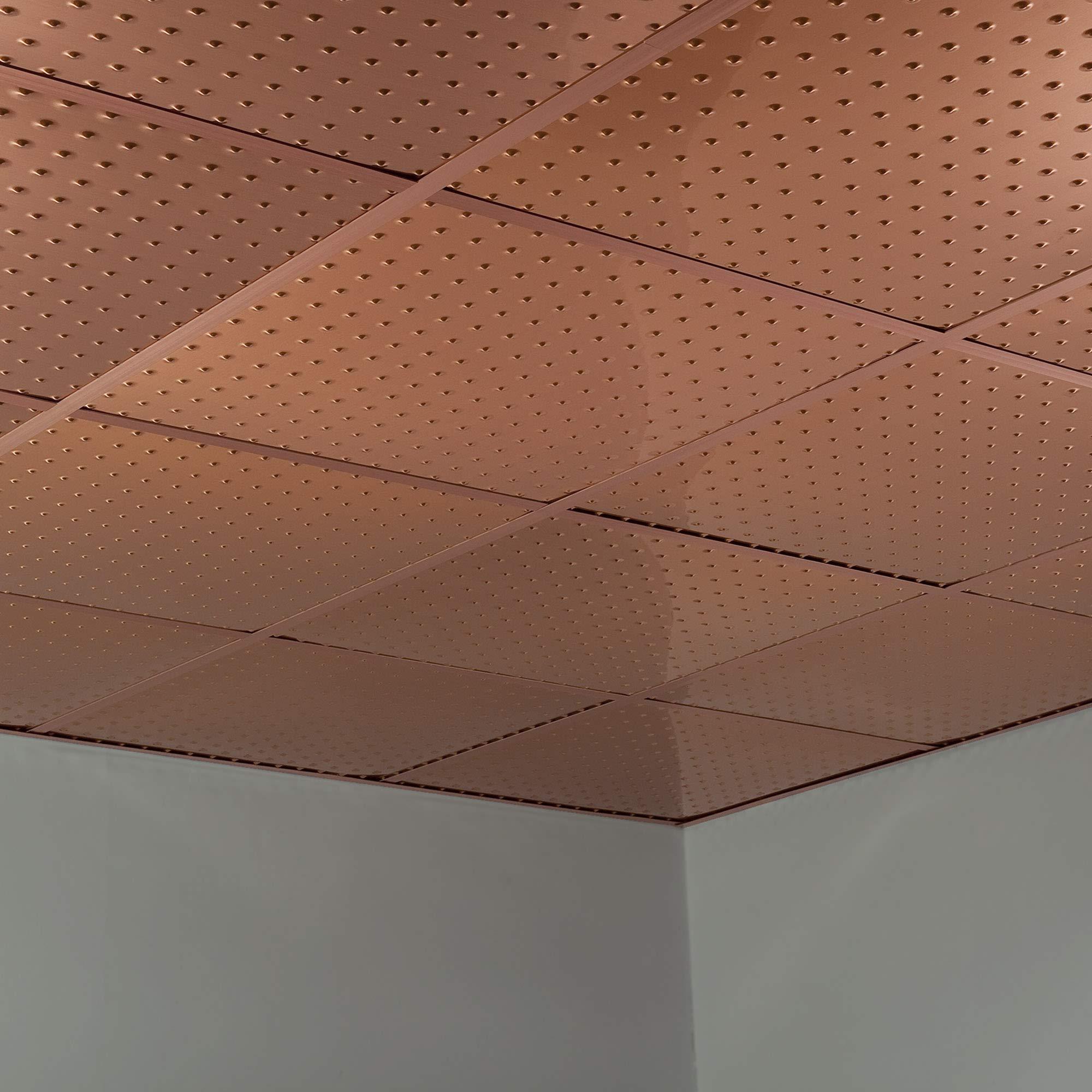 FASDE FASDE Minidome Decorative Vinyl 2ft x 2ft Lay in Ceiling Panel in Polished Copper (5 Pack)