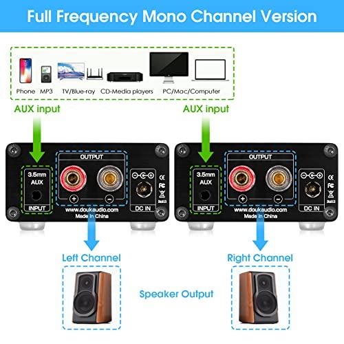 Douk Audio Nobsound 100W Full Frequency Mono Channel Digital Power Amplifier Audio Mini Amp Home Speaker with Power Supply (Black)