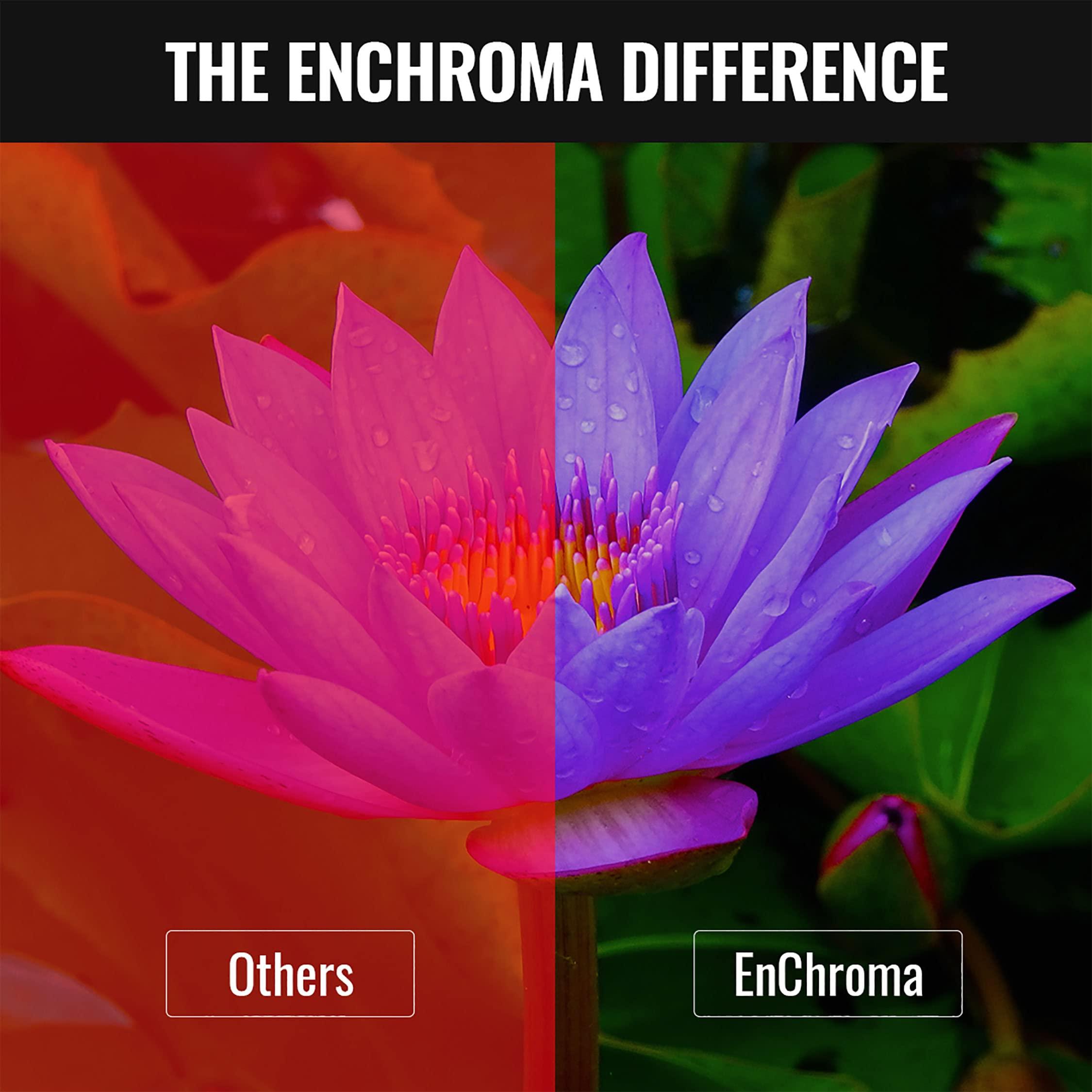 Enchroma Enchroma Color Blind Glasses - Ellis - Color Correcting & Enhancing Glasses Outdoor Use for Deutan Color Blindness