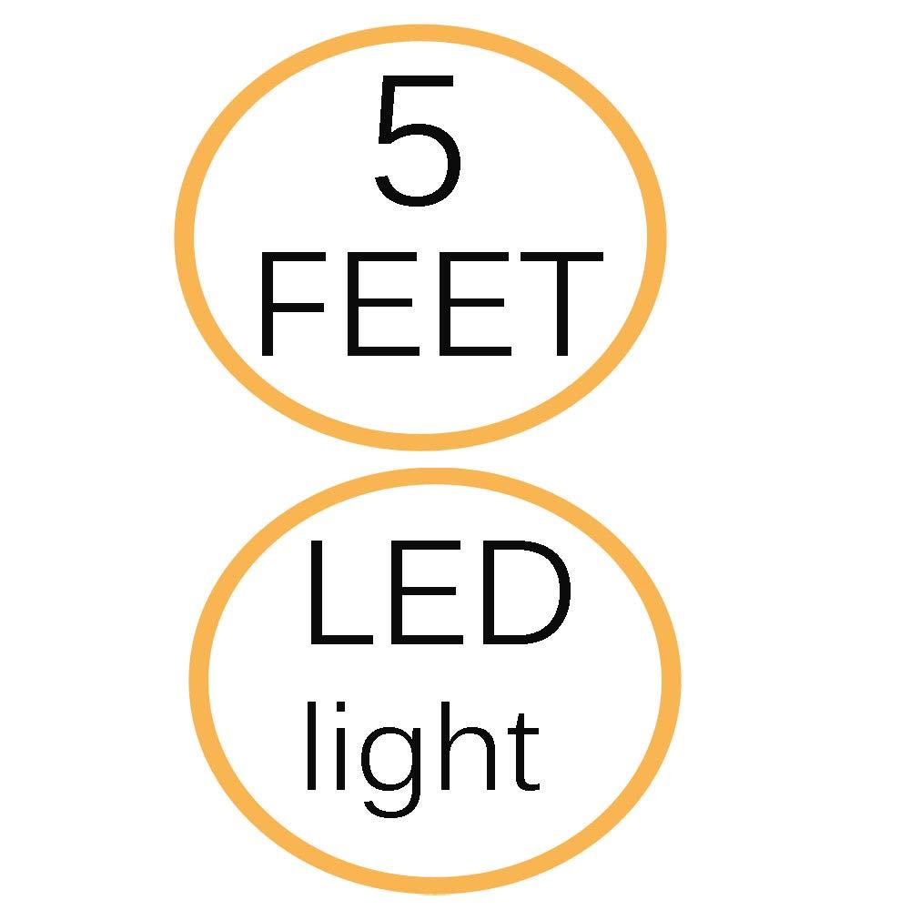 GUY-TECH AC Adapter for Audiovox D1830 DV-1680 DV1500 DVD Player Power Supply Cord Replacement Wall DC Charger Cable Mains Plug, 5 Feet, with LED Indicator