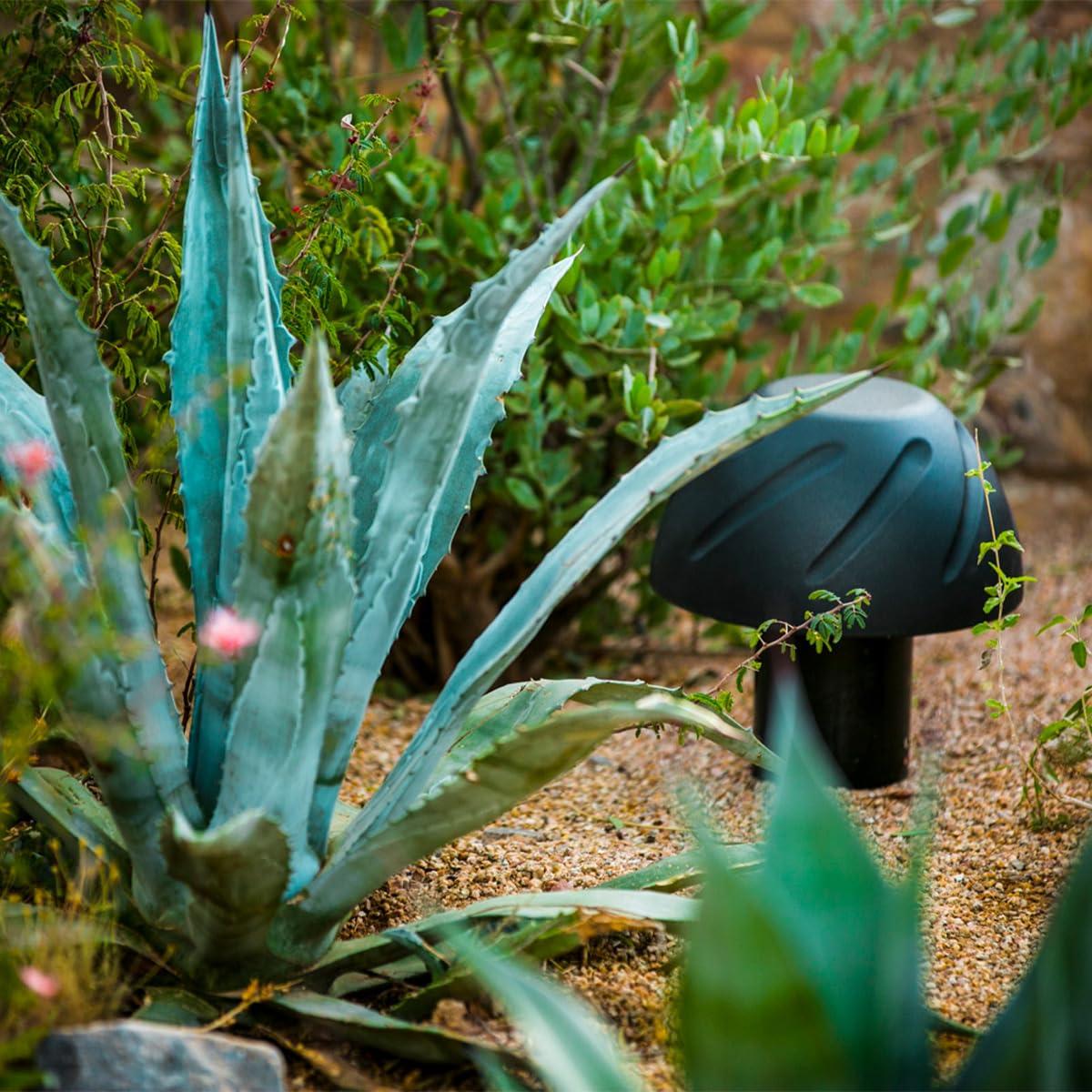 MMSE AudioO Rockustics Subscape 12 Outdoor 12\" In-Ground Band-Pass Subwoofer